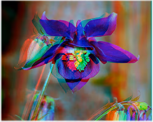 Item #43207901931937523229026562993049456947938366137062832064513938630752342114305 Media