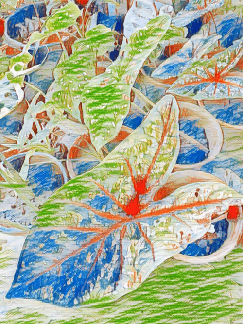 Item #69261177602478584146078213691104273677815526894191982293268528056353977008129 Media