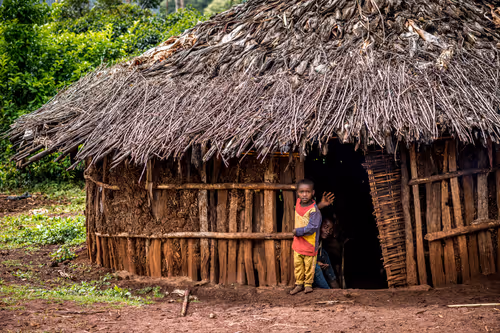 Item #50027882237522295676960542276708360859068113986169674979910833993266631802881 Media