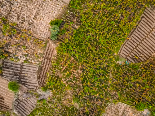 Item #67686649945813211142348116383551297901422610875826896463266851528744277901313 Media