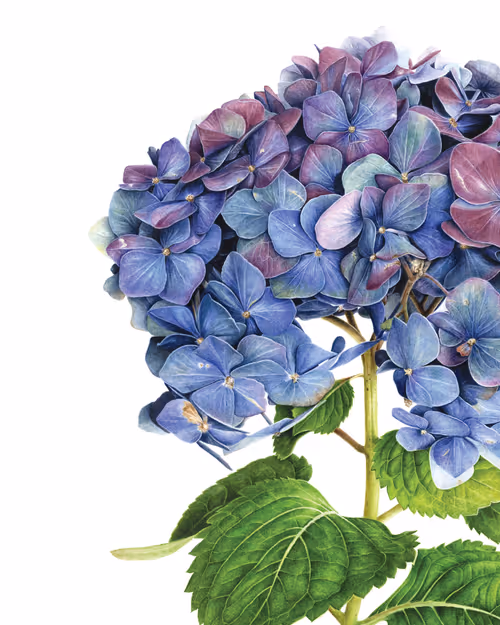 Item #113489034304621262780688231826605953110850630037048369512317058333784779259905 Media