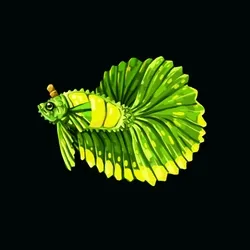 BETTA FISH # Durian