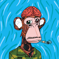 74062395234018532881640708890963896695963457251587948741242510851344909205505