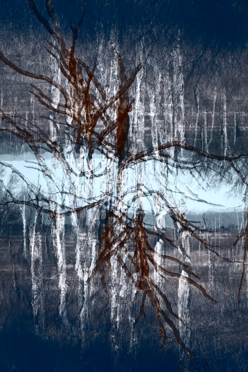 Item #62539403669685025686501917752583398735289456907083576647732505219534906458113 Media