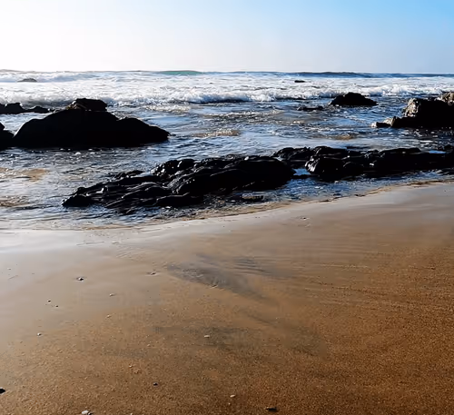 Item #82527419430776432677609198489525539692500095051269265648102109195745007501313 Media