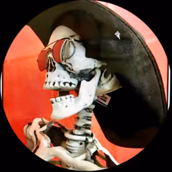 Special Edition skeleton