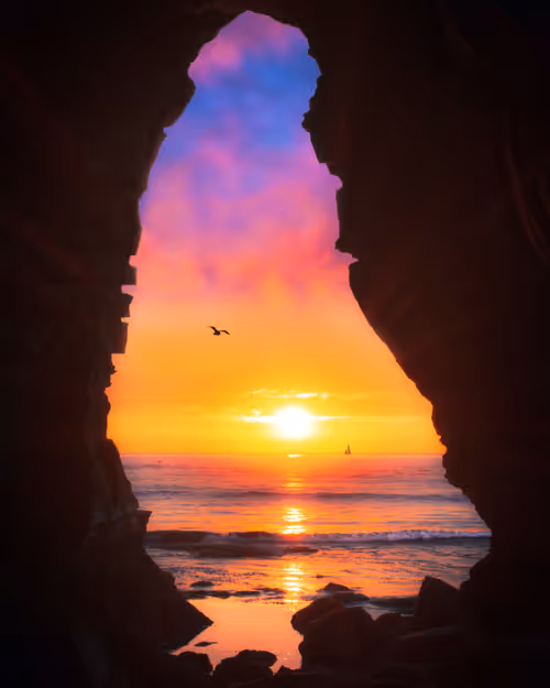 Item #37701692604240833627253285702133416503729912099982209521242011483920312303617 Media