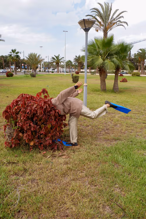 Item #4513353140435915256927038014390726780334549173447047818238800772257441382401 Media