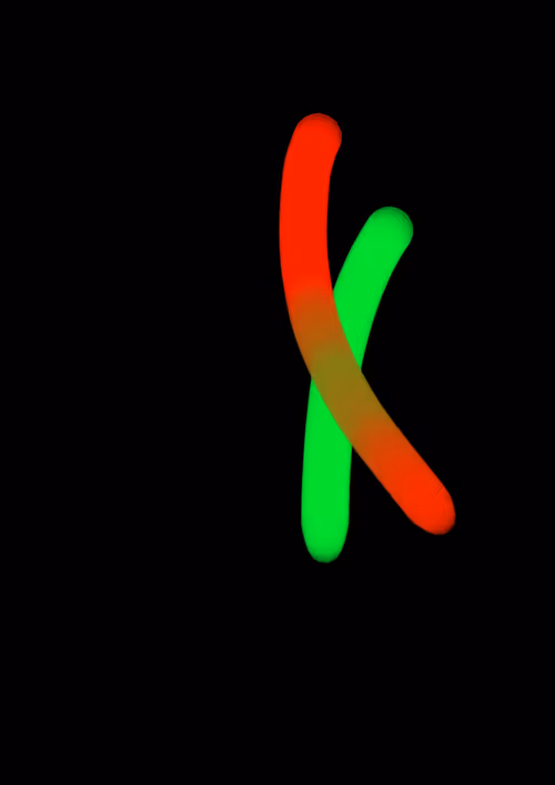 Item #28613341208955317718913694933797215897986344299701158039456636400901514330113 Media