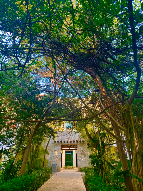 Item #33261409280827848890636833313665954217119010705453802455397167726167637098504 Media