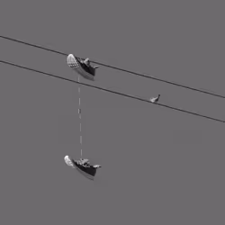 44231692163325033527706634296024509461007343983716307526579858985738074849281