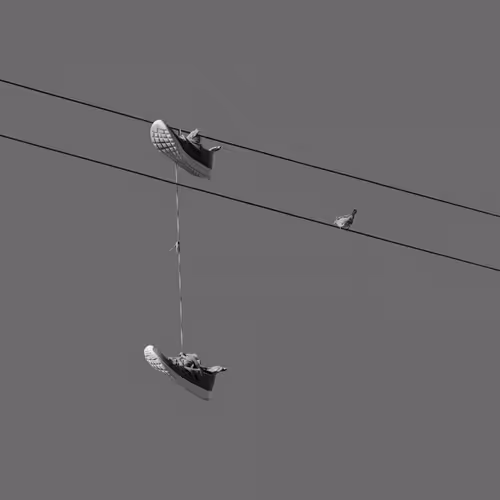 44231692163325033527706634296024509461007343983716307526579858985738074849281