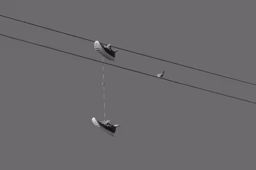 Item #44231692163325033527706634296024509461007343983716307526579858985738074849281 Media