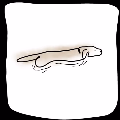 Item #92025406333884422325996072400066703293010170034733604694841300484952644648961 Media