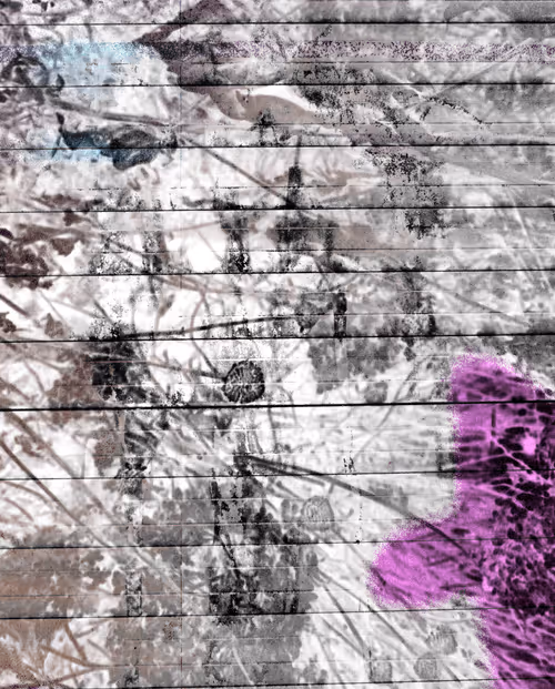 Item #58312433631864427601172952075011378080943056977712016653169188417054462443521 Media