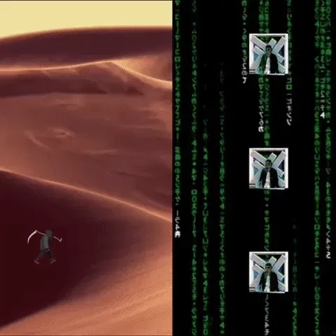 TheDoblerr Collection