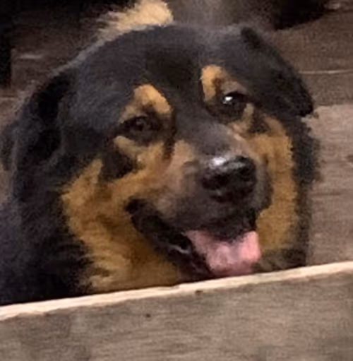 Item #56055091060271351536523847984853154360378800009370414984463609026184820555777 Media