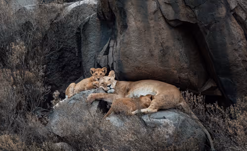 Item #46146454175190830687847236221543248864679735900060228179798027759407788457985 Media