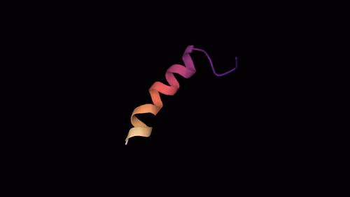 Item #47350829909543671371603060769853362682429688600975311335895424152687668625409 Media