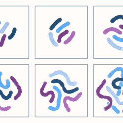 107937117699900001194099939943306584939867407144504846123696048317978944471041