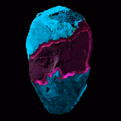 Item #27962443857850666400778794939179223667452374374845620376262604594379388616705 Media