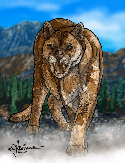 Item #27193563482882522542439939713459761912672392428874250881535280931438925447174 Media