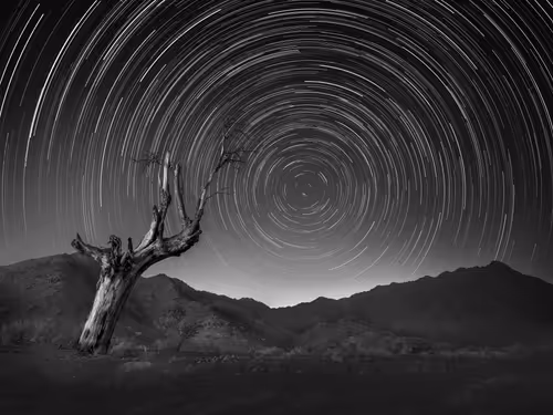 Item #108814857691029429230781820568210235490063919231059486623727012661872786669569 Media