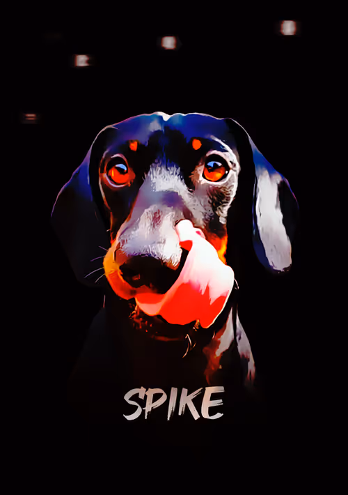 Item #7965142106436300429337650798890466820643677121595248571291411537666282356741 Media