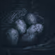 oceannest Collection - old V2