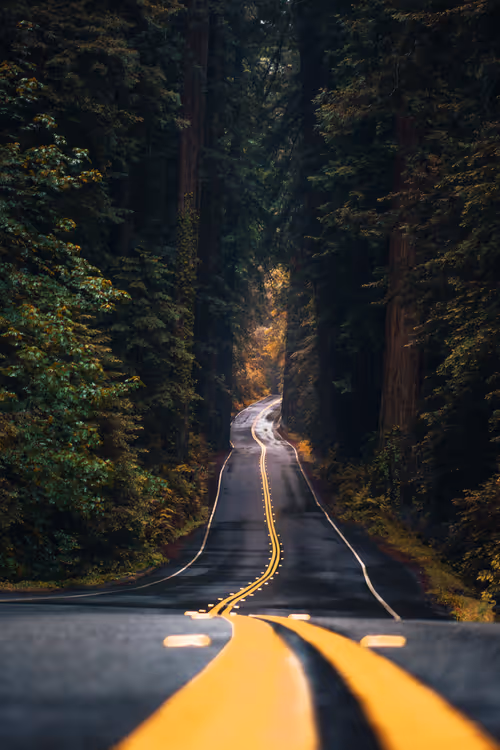 Item #28249669150142615207579555762608265536132247185199409993543532393694599577601 Media