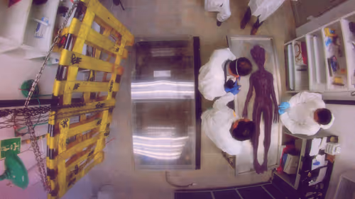 Item #53087923524339814745884647961586117102137361801337036689171791739900831727617 Media