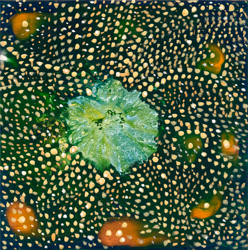 Item #99440989143313326318844898632848722044945652969793679238659256425276577415169 Media