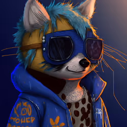 Exotic Raccoon Collectibles