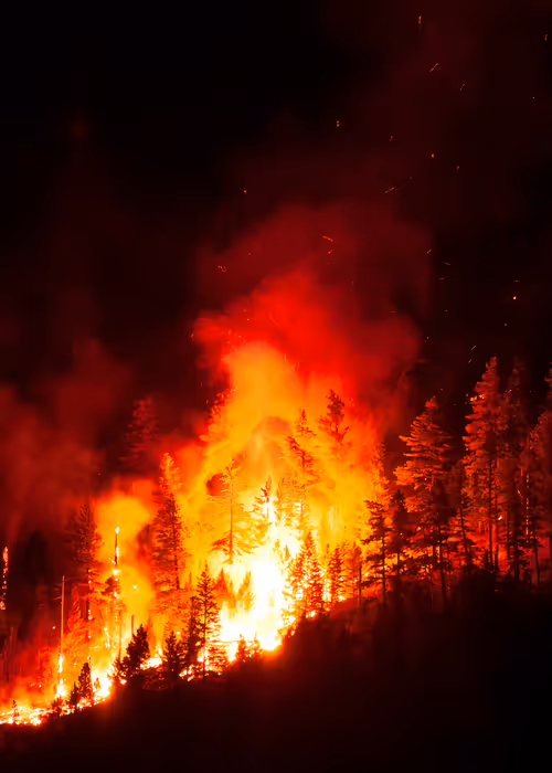 Item #55396979496544417469792883121952566872796951856674190010796140009356187926529 Media