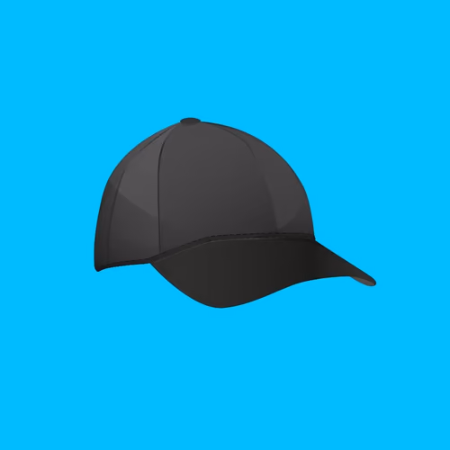 THE BLACK HAT