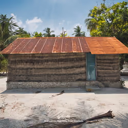Traditional House