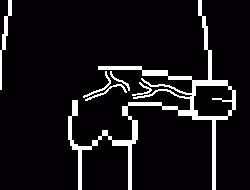 8556061733850570621173106315472467260668083661071942411625168842757437915137