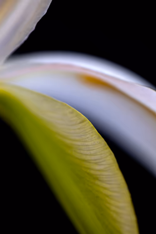 Item #24632583837492670092599633934589483131746797002802219579488358147033590136833 Media