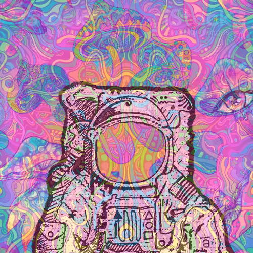 Shaynes22 Collection