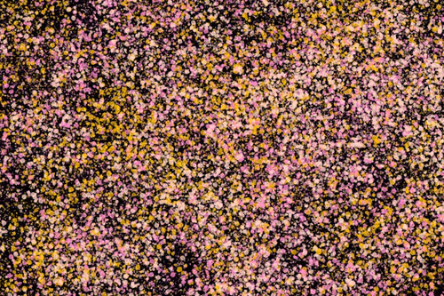 Item #944858660688572096584618472555991747686703840338442188877309619252198637569 Media