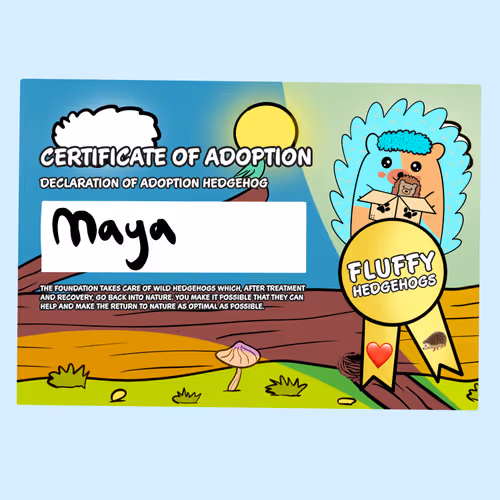 Fluffy Adoptions