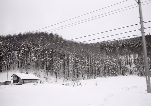 Item #58423878245632795506730098938038129248179403695899608583571277771309601259521 Media