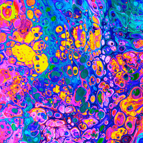 Item #43491420902550312144531220926816905712993913089726861711992935494383218720769 Media