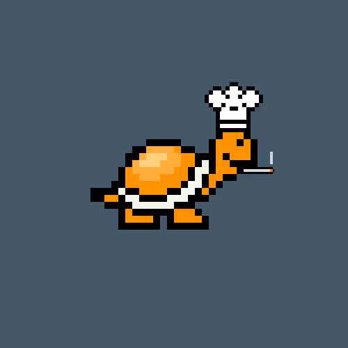 Turtle #48