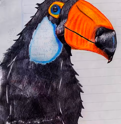 Toucan