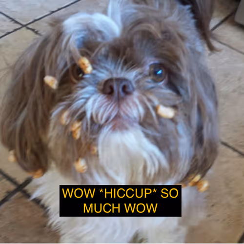 CallMeCwazy Collection