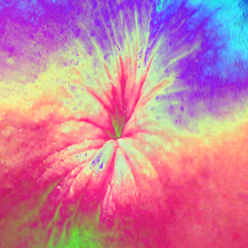 Item #38748192286267356930689689992324455160612969586483070519053316967709263527937 Media