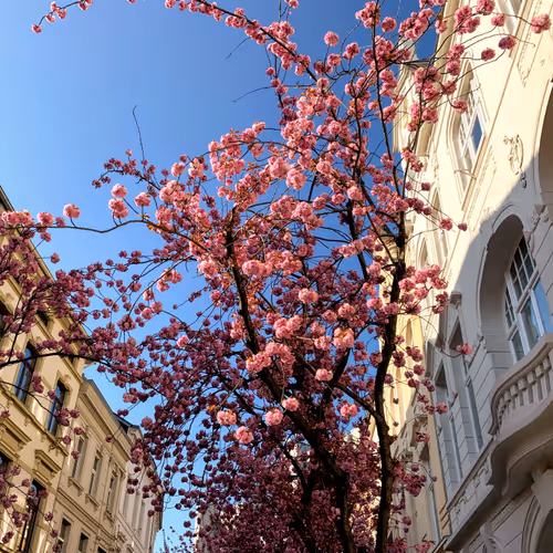 Item #26989150164140609200247036079790408866606814908493437460198890325189322604545 Media