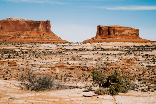 Item #114356424979646912091291396938675079969318378250921425408739931281416129609729 Media