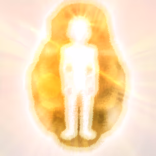 ___________________________________ Collection